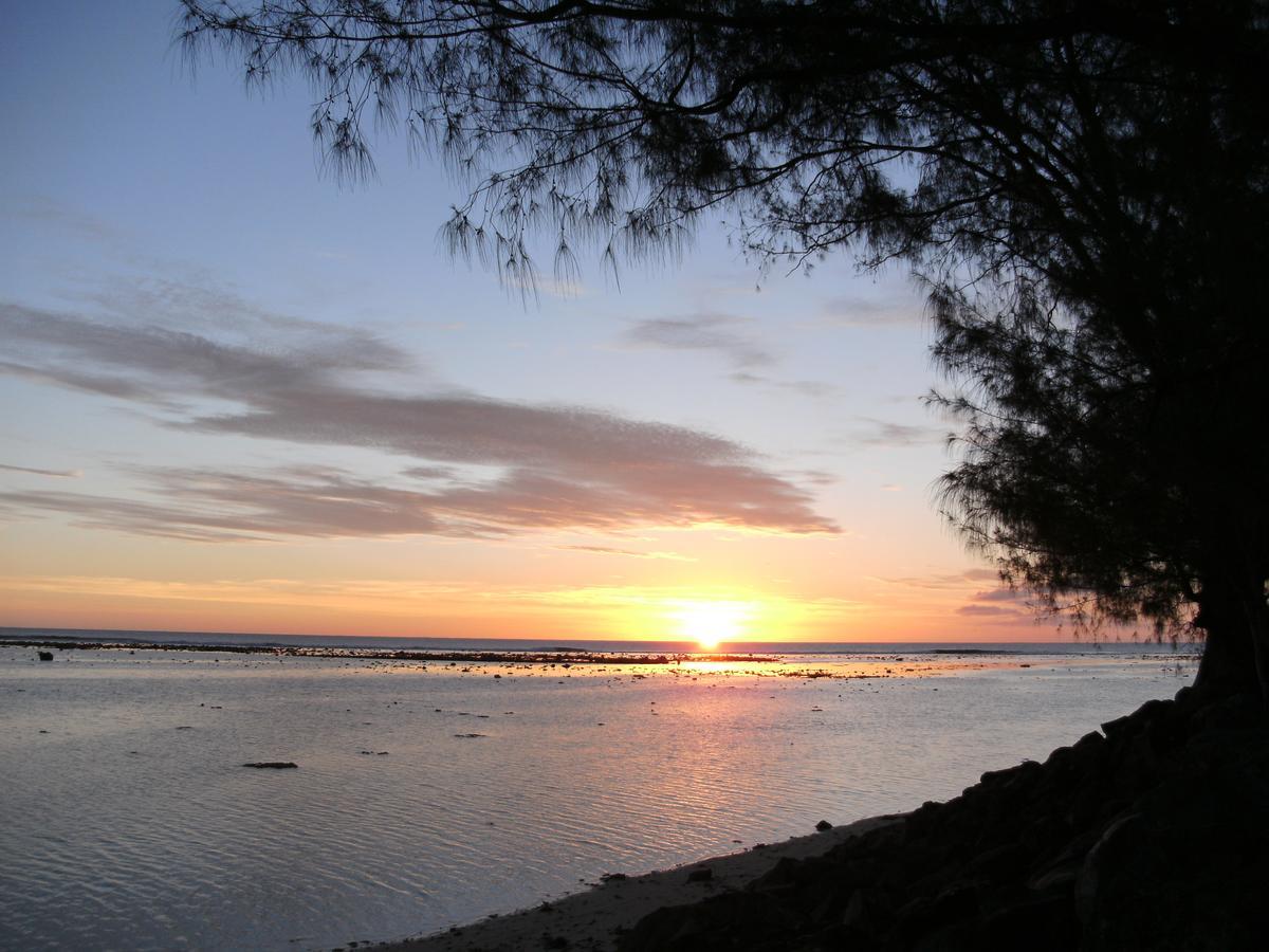 Aroa Kainga Bungalows And Apartment Rarotonga Exterior foto